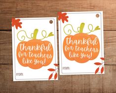 two thanksgiving cards with the words, thank you teachers like you and an orange pumpkin