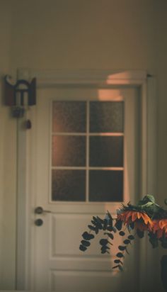 a vase with flowers in front of a door