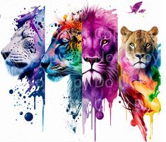 three lions painted in different colors on a white background with watercolor splashes around them