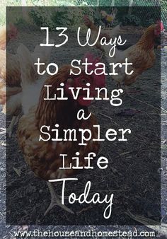 chickens standing on the ground with text overlay that reads, 15 ways to start living a simple life today