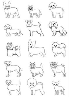 the different types of dogs are shown in black and white