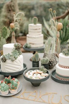 a table topped with cakes and cactus plants