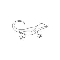 an outline drawing of a gecko on a white background royalty image stock images and illustrations