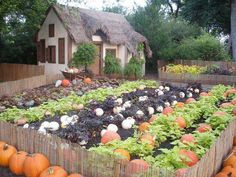 a garden filled with lots of different types of vegetables