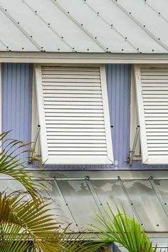 two white shutters on the side of a blue building with palm trees in front