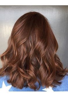 Rambut Brunette, Chestnut Hair Color, Hair Color Light Brown, Red Highlights, Light Hair Color, Front Hair Styles, Hair Shades