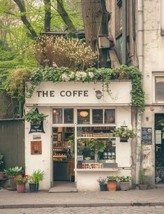 the coffee shop is decorated with flowers and plants