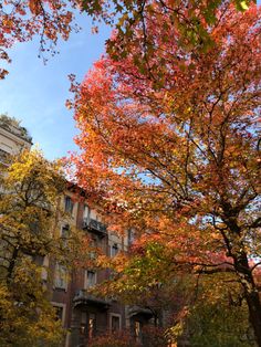 an apartment building surrounded by trees in the fall