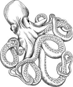 an octopus is sitting in the middle of some tentacles