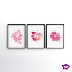 three pink and orange flowers are hanging on the wall next to each other in black frames