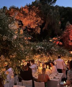 people are sitting at tables with candles in front of them and trees behind them, all lit up