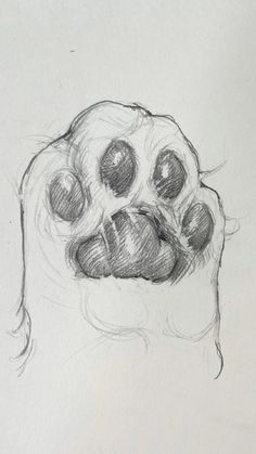 a pencil drawing of a dog paw