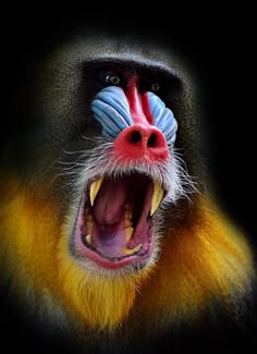 a monkey with its mouth open and it's teeth painted blue, yellow and red