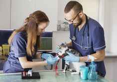 a man and woman in scrubs petting a cat at the vet's desk