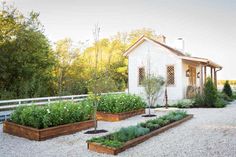 a small white house sitting next to a gravel covered field with lots of plants in it