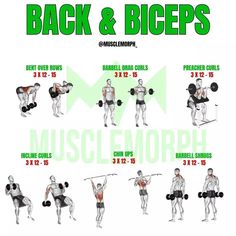 the back and biceps workout chart shows how to use dumbs, barbell curls