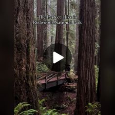 a bridge in the middle of a forest with trees and ferns around it that reads, the perfect hike in redwoods national park