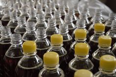 rows of empty glass bottles with yellow caps