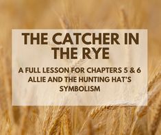 the catcher in the rye book cover with an image of a field and text that reads,