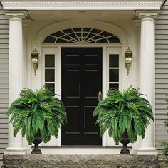 UV Resistant Lifelike Artificial Boston Fern, Artificial Ferns for Outdoors, Faux Ferns Fake Ferns Artificial Plants, Fake Boston Fern for Porch Window Home Decor (2pcs) Features:  Easy to take care of: Artificial flowers do not need any water, soil, fertilizer, no pruning, easy to maintain, not affected by natural weather. Let you feel the nature at any time, save your time and water!  Eco-friendly material: Lifelike artificial flowers: If you don't touch these artificial flowers, they look alm Fake Ferns, Porch Window, Large Outdoor Planters, Porch Windows, Boston Fern, Artificial Plants Outdoor, Fern Plant, Large Planters, Window Home Decor