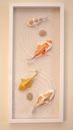 three different types of fish in a white frame