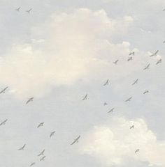 a flock of birds flying through a cloudy blue sky with white clouds in the background