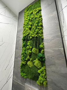 a green wall in the corner of a room with plants growing on it's side