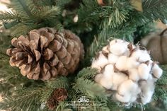 two pine cones and cotton balls on a christmas tree