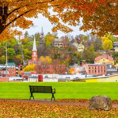 a park bench sitting on top of a lush green field