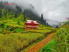 a small red house in the middle of a green field with trees and mountains behind it