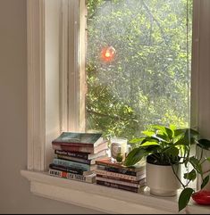 a window sill filled with books next to a potted plant