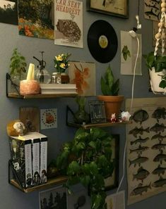 there are many plants and pictures on the wall