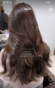 Korean Brunette Hair, Hair Color 2023 Dark Brown, Brunette Hair Korean, Dark Milk Tea Hair Color Asian, Korean Hair Brown, Korean Hair Color Dark, Mushroom Brown Hair Color Dark Roots, Milk Tea Brown Hair Asian, Korean Hair Colours