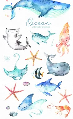 watercolor illustrations of sea animals and their names