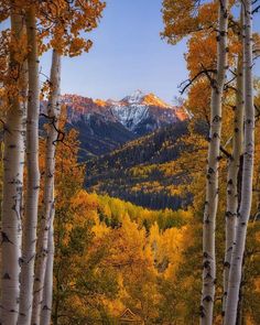 Fall Wonderland, Colorado Fall, Beautiful Landscape Photography, Look At The Sky, Landscape Pictures