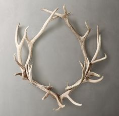 antlers are arranged in the shape of a circle on a gray wall with grey background