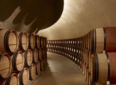 several wooden barrels lined up in a wine cellar