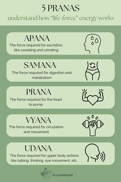 What are the five pranas? Find out from this simple, visual guide! #prana #pranayama #lifeforce #spirituality #chakras #energy #energyhealing #spiritualgrowth #spiritualjourney #spiritualawakening Prana Meaning, Spiritual Eating, Yoga Theory, Spirituality Chakras, Yoga Knowledge, Yoga Pranayama, Chakras Energy, Retreat Activities