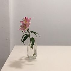 a glass vase with pink flowers in it on a white countertop against a gray wall