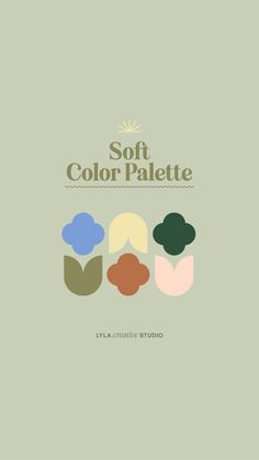 the soft color palette book cover