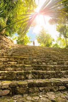 a man standing on top of a set of stone steps next to lush green trees