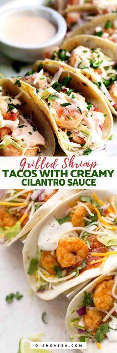 shrimp tacos with creamy cilantro sauce