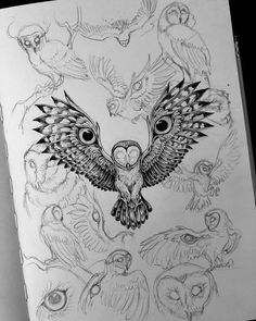 a drawing of an owl surrounded by other owls