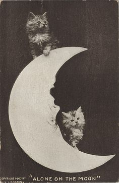 a black and white photo with cats sitting on the moon