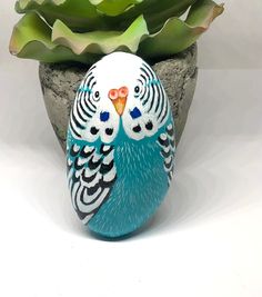 a blue and white bird sitting on top of a planter next to a succulent