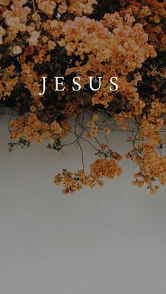 the word jesus is surrounded by yellow flowers