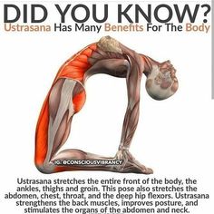 an image of a man doing yoga with the caption did you know? ultrasana has many benefits for the body