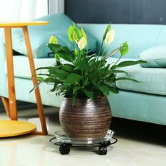 a potted plant sitting on top of a metal stand