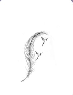 a drawing of three birds flying in the sky with a feather on it's tail