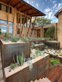 an outside view of a house with plants and rocks